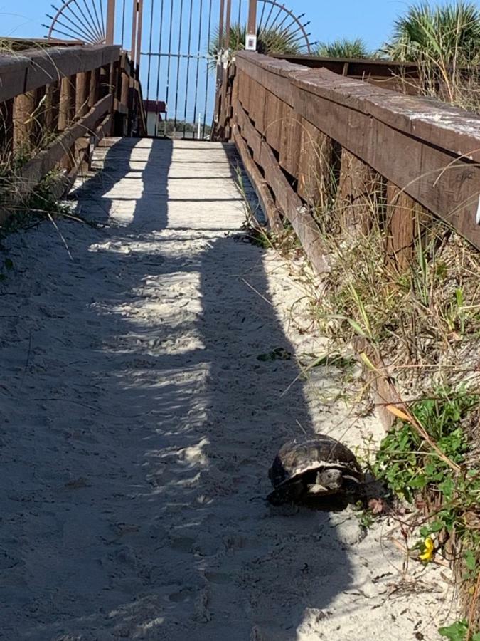 St. Augustine Ocean & Racquet Resort Kültér fotó
